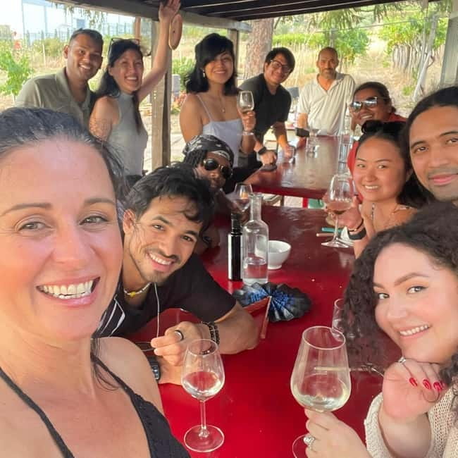 Frascati: Vineyard Wine Tasting Tour with Snacks - Should you book the Frascati vineyard tasting?