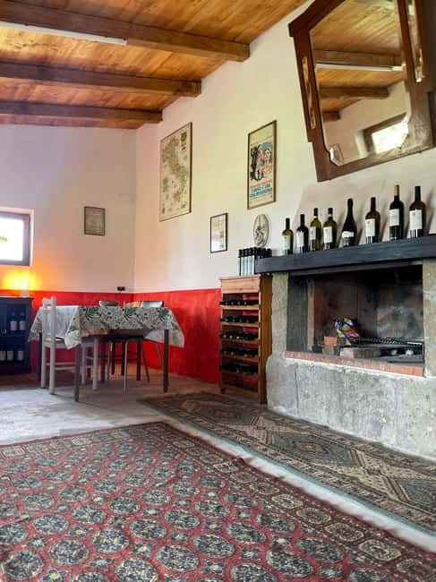 Frascati: Vineyard Wine Tasting Tour with Snacks - Walking among the vines with views over the countryside