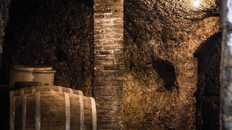 Frascati Wine Road from Rome: Tasting & Lunch - Getting there and getting back