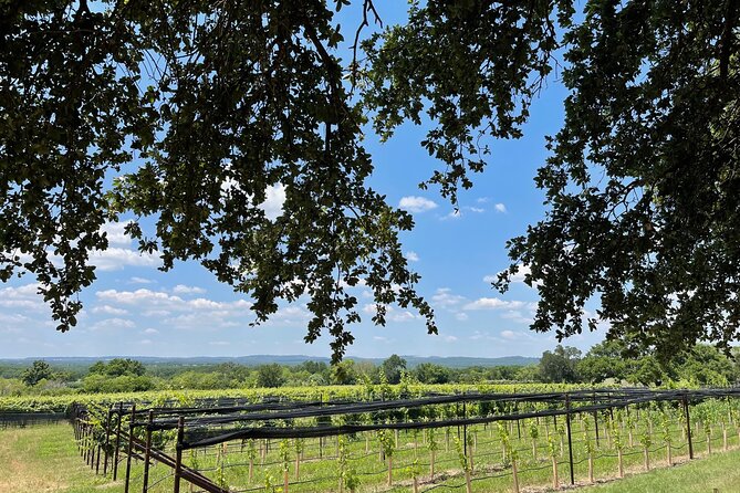 Fredericksburg Texas Area Wine Tastings: 3 Wineries and Lunch - Guides who shape the day