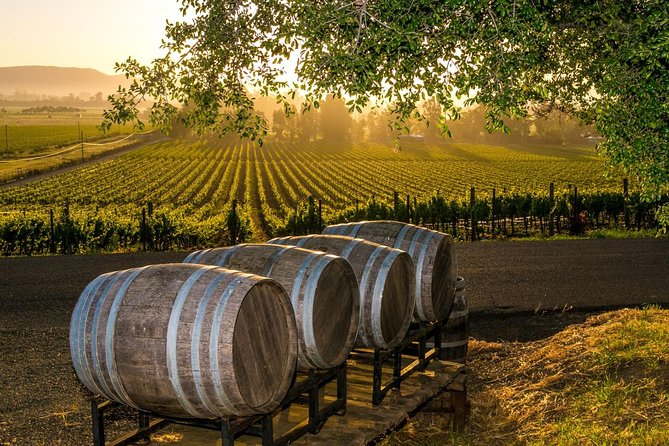 Fredericksburg Wine Tour with Three Winery Stops Plus Lunch - Key points to know before booking