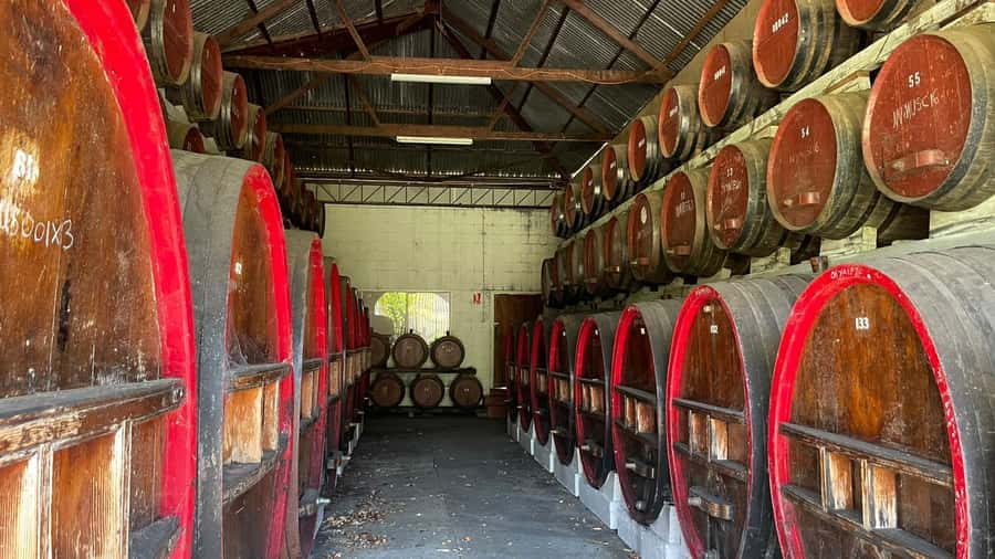 From Adelaide: Barossa to Hahndorf Wine Tasting and Lunch - How to prepare for eight hours out