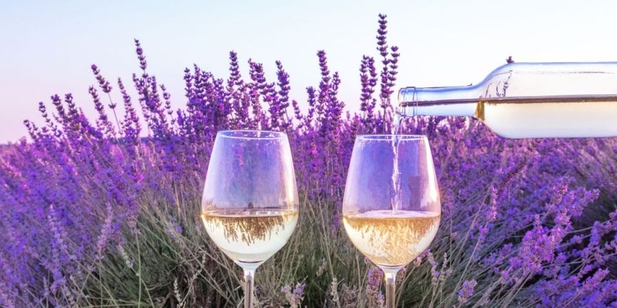 From Aix-en-Provence: Châteauneuf du Pape Wineries Day Trip - Key points to know before booking