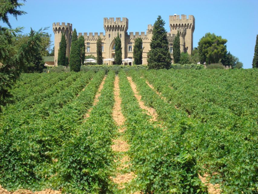 From Aix-en-Provence: Châteauneuf du Pape Wineries Day Trip - Booking details worth keeping in mind
