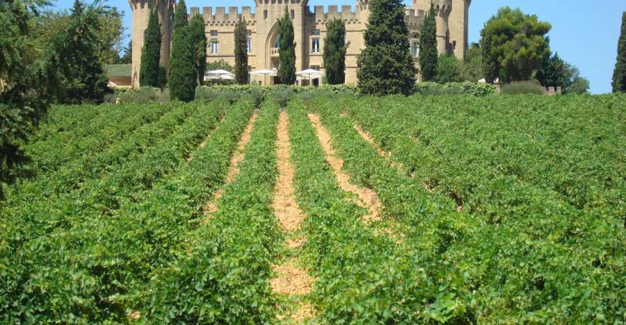 From Aix-en-Provence: Châteauneuf du Pape Wineries Day Trip - Two hours in the village and beside the old castle