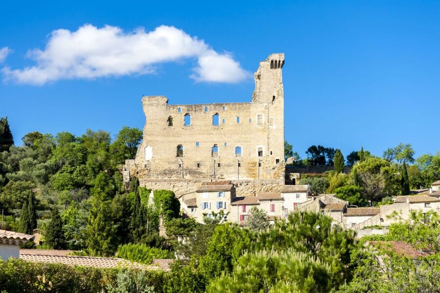 From Aix-en-Provence: Châteauneuf du Pape Wineries Day Trip - What the small group changes