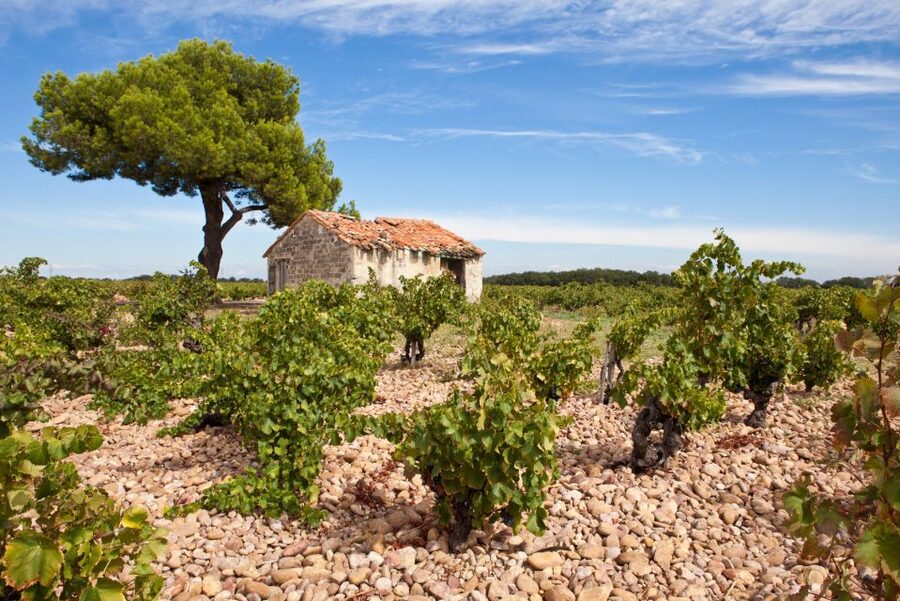 From Aix-en-Provence: Châteauneuf du Pape Wineries Day Trip - Who should book this experience?