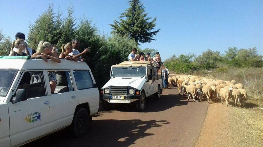 From Albufeira: 4x4 Off-Road Safari & Vineyard Wine Tasting - Key points to know before booking