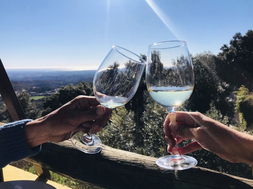 From Albufeira: Wine Tasting & Historic Silves Tour - Three Algarve wines and regional snacks