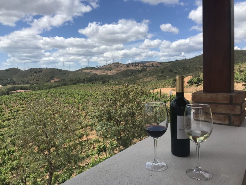 From Albufeira: Wine Tasting & Historic Silves Tour - Why the guide matters