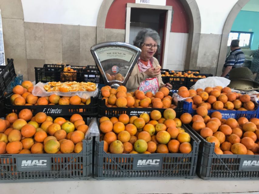 From Albufeira: Wine Tasting & Historic Silves Tour - Timing, transport, and group size