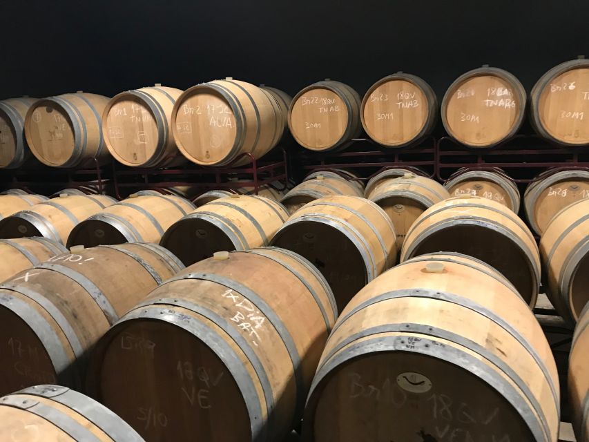 From Albufeira: Wine Tasting & Historic Silves Tour - Who will enjoy this half-day tour?