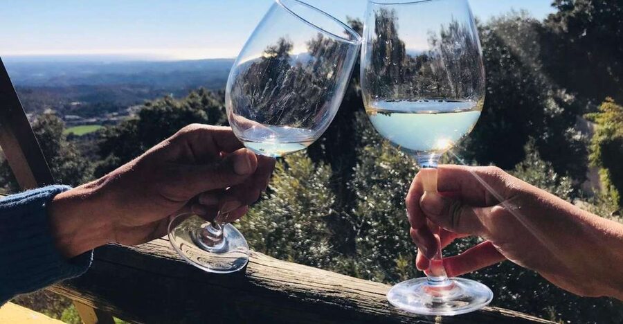 From Albufeira: Wine Tasting & Historic Silves Tour - The family-owned winery experience
