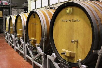 From Alicante: Premium visit to the winery. The best of our wines.