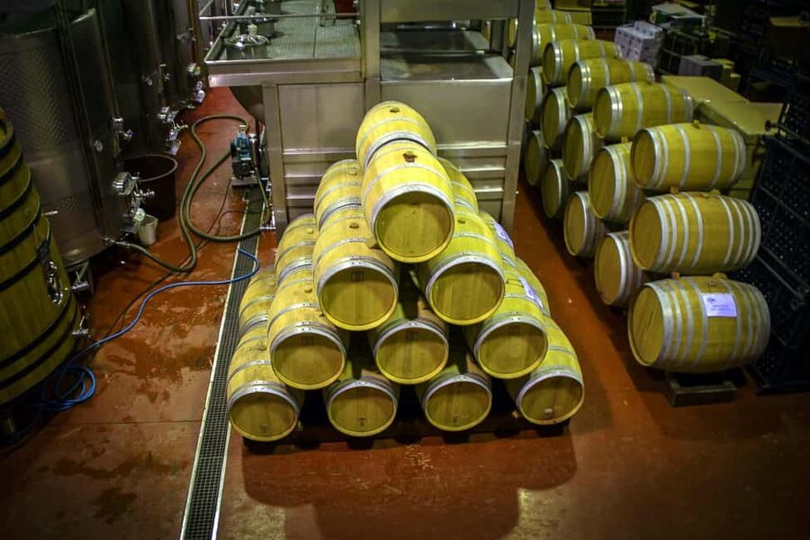 From Alicante: Premium visit to the winery. The best of our wines. - Who will enjoy this winery visit most