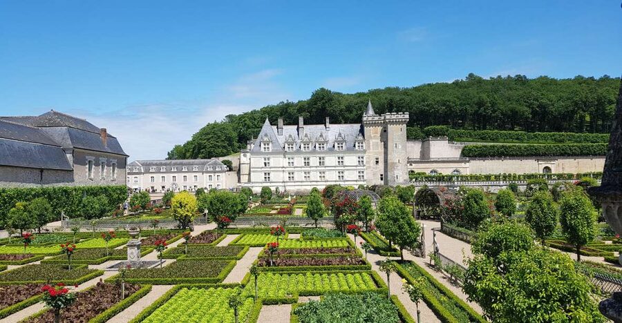 From Amboise: Villandry, Azay-le-Rideau & Local Wineries - One Loire day, three very different experiences