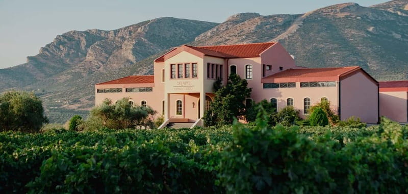 From Athens: Ancient Sparta and Nemea Wine Country Day Trip - Ancient Sparta and the legacy of Leonidas