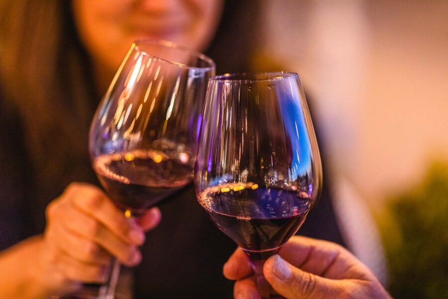 From Atlanta: Half-Day or Full-Day Wine Country Tasting Trip - Canoe Winery and the first taste of local wine