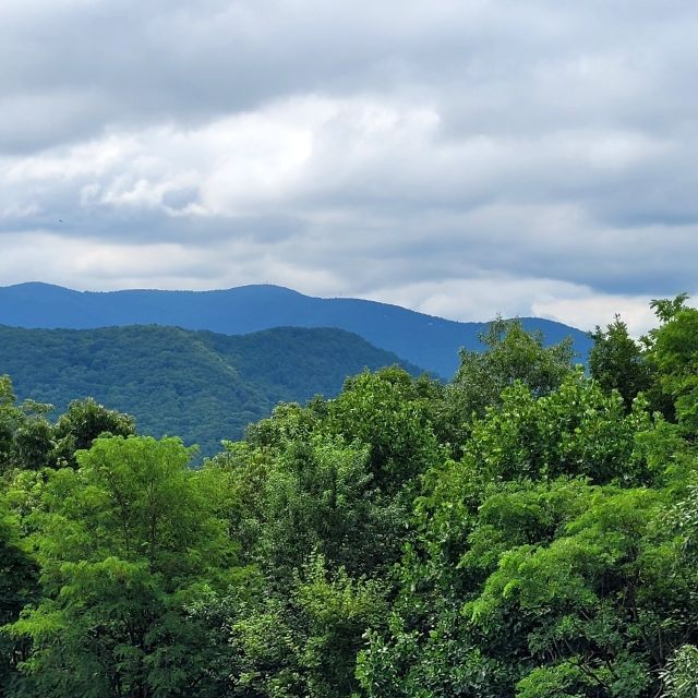 From Atlanta: Half-Day or Full-Day Wine Country Tasting Trip - Adding Buckley Wineyards on the full-day route
