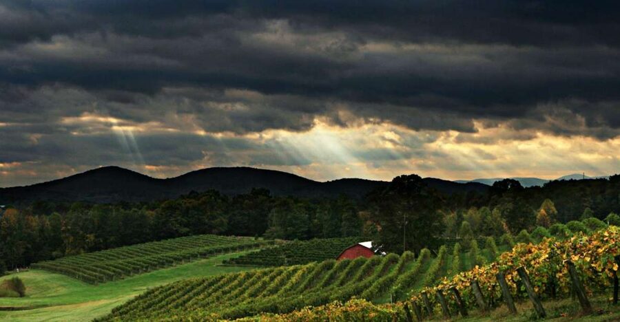 From Atlanta: North Georgia Wine Country Tour - Key points to know before you book