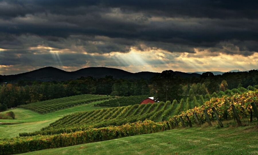 From Atlanta: North Georgia Wine Country Tour - Why this makes a good Atlanta day trip