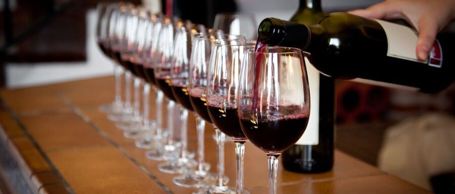 From Atlanta: North Georgia Wine Country Tour - Three wineries and up to 13 North Georgia wines