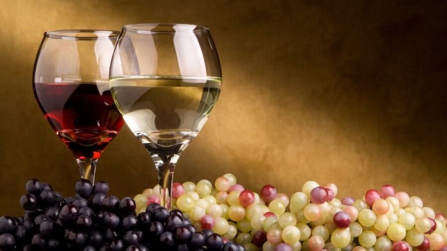 From Atlanta: North Georgia Wine Country Tour - Is the $129 price good value?