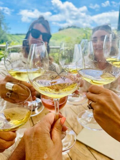 Waiheke Island Wineries’ Tour