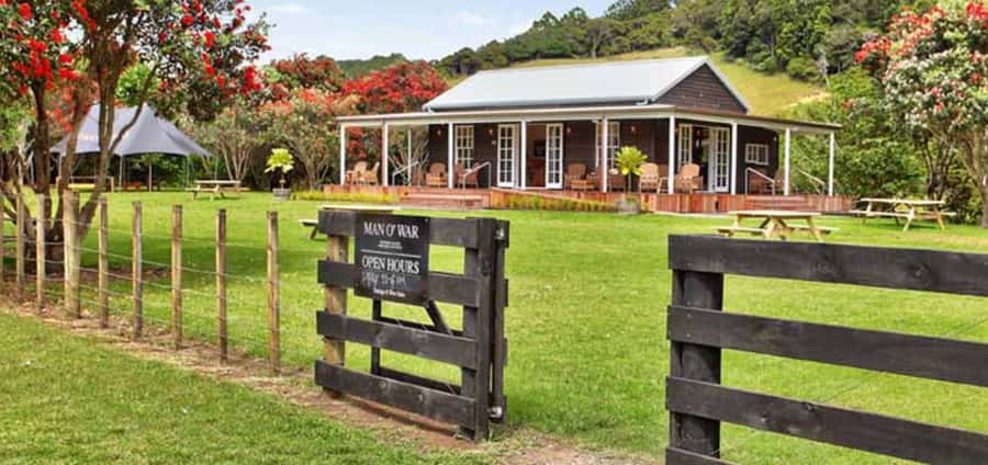 From Auckland: Waiheke Island Wineries' Tour - The scenery is as important as the wine