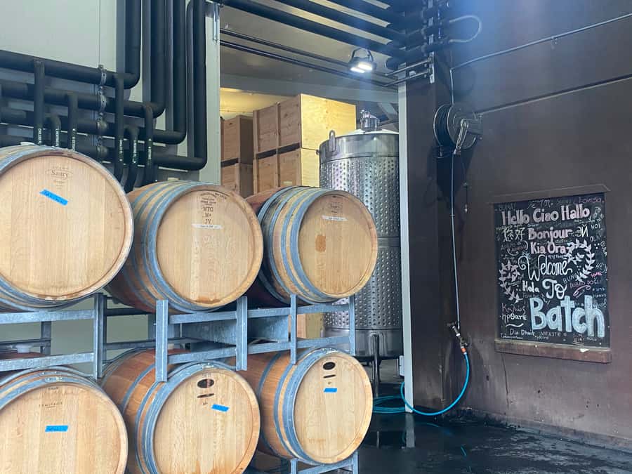 From Auckland: Waiheke Island Wineries' Tour - Is the $110 price good value?