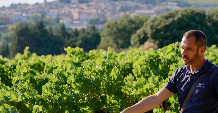 From Avignon: Châteauneuf du Pape Half-Day Wine Tour - First tasting: start with the wines of the appellation