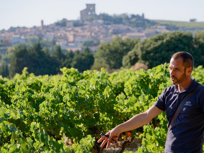 From Avignon: Châteauneuf du Pape Half-Day Wine Tour - The ruined papal castle and the best photo stop