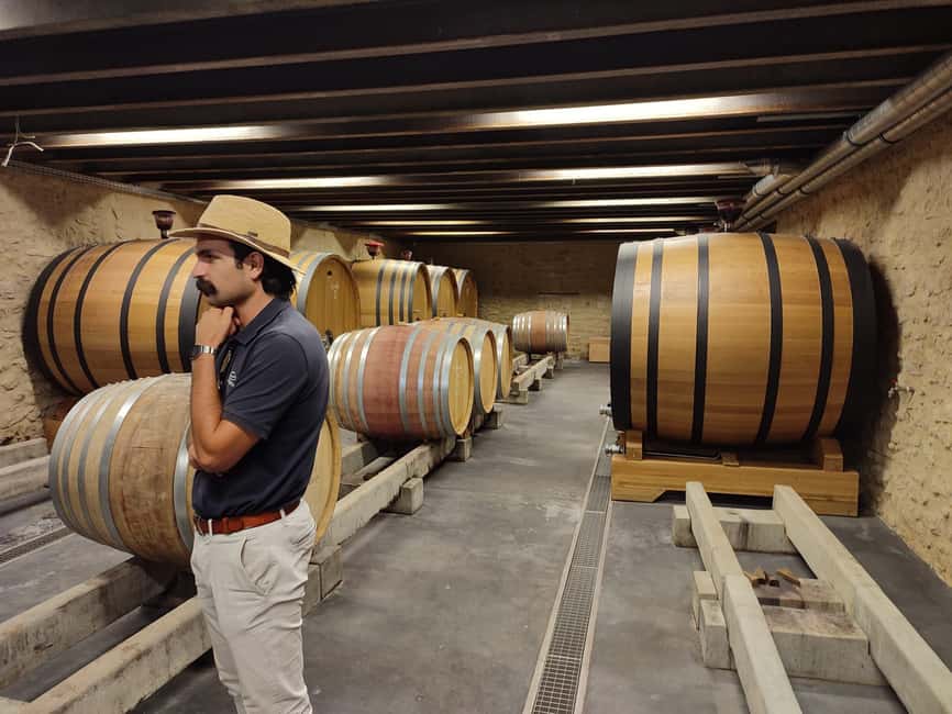 From Avignon: Châteauneuf du Pape Half-Day Wine Tour - Second cellar: compare the style, not just the bottle