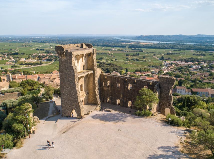 From Avignon: Châteauneuf du Pape Half-Day Wine Tour - Timing, pace, and what four hours really means