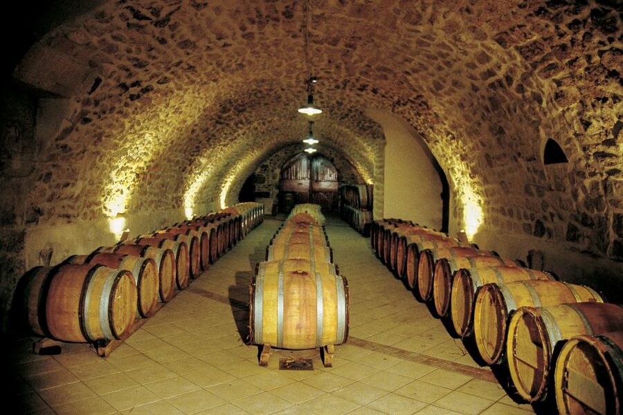 From Avignon: Half-Day Great Vineyards Tour - Tasting at family wineries and established cellars
