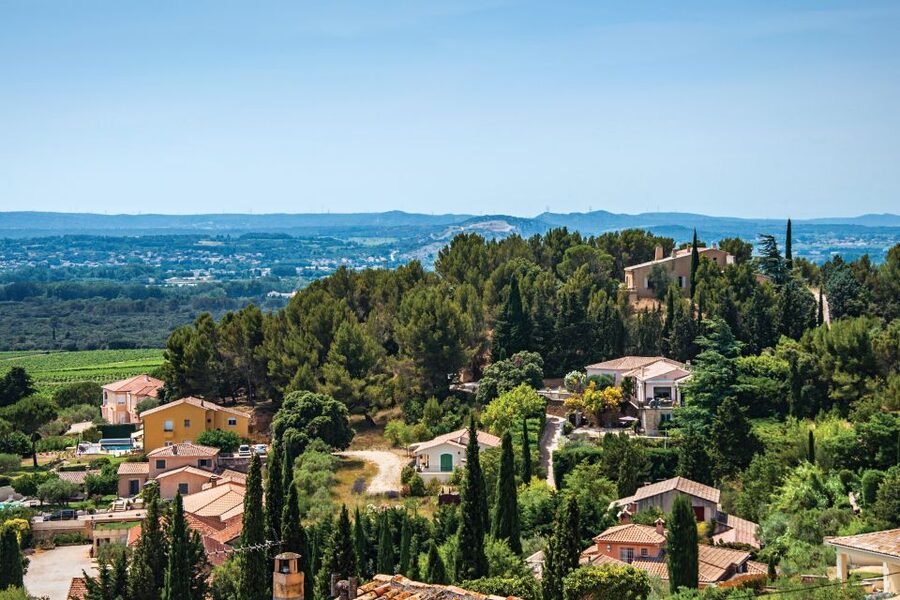 From Avignon: Half-Day Great Vineyards Tour - How the guides shape the experience