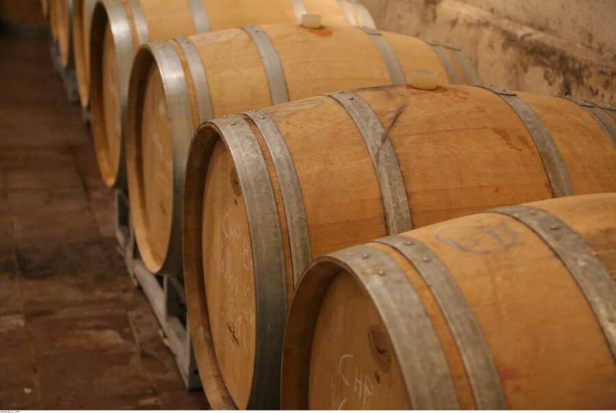 From Avignon: Half-Day Great Vineyards Tour - Booking advice and final verdict