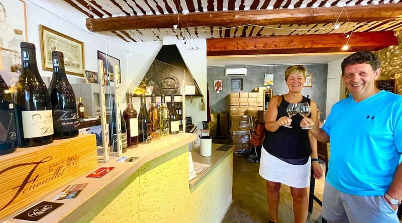 From Avignon: Wine Tour with Visit to Châteauneuf du Pape - Leaving Avignon in a six-person vehicle