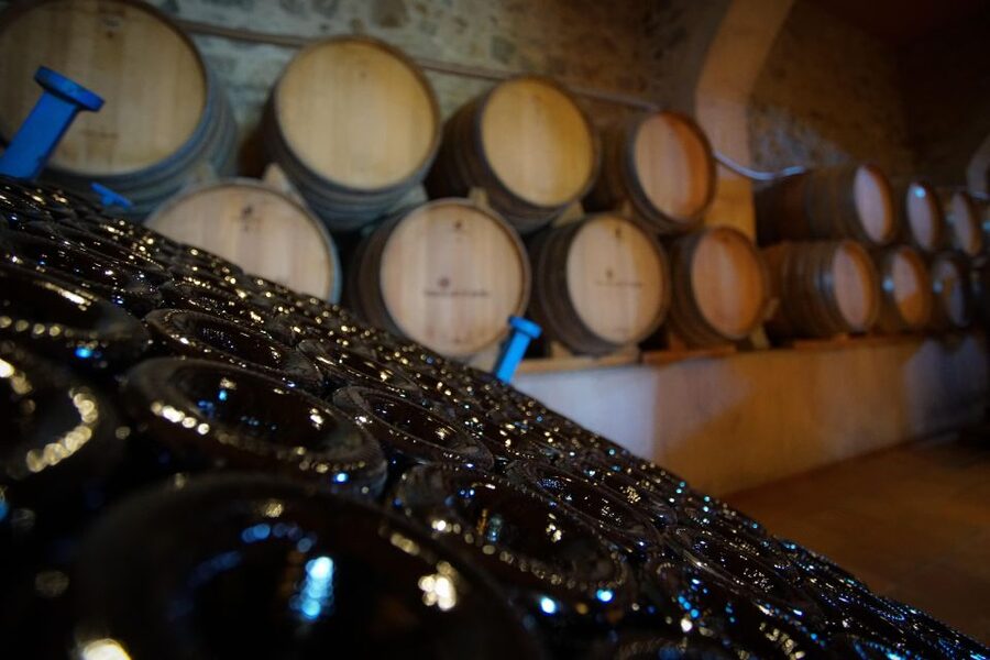 From Barcelona: E-Bike and Sailing Tour with Wine Tastings - Sailing the Barcelona coast for two hours