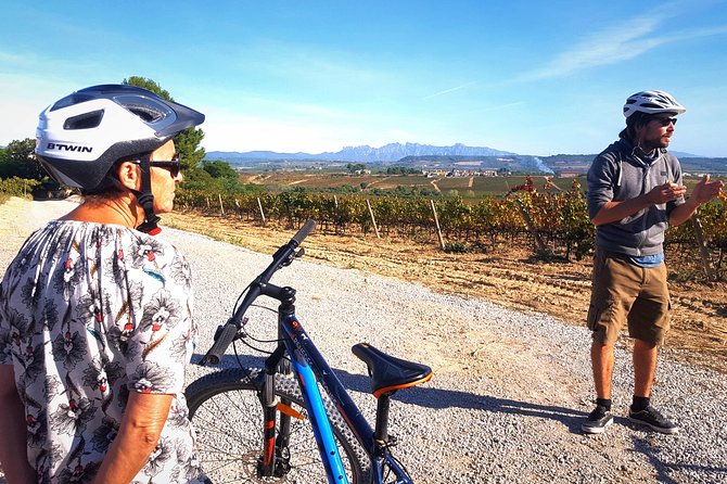 From Barcelona: E-Bike Tour in the vineyards with 2 Wineries - Why leave Barcelona for the Penedès?