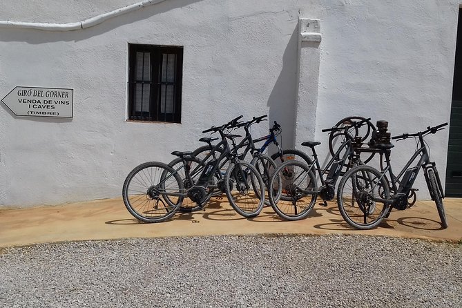 From Barcelona: E-Bike Tour in the vineyards with 2 Wineries - First stop: three organic wines at Suriol del Castell de Grabuac