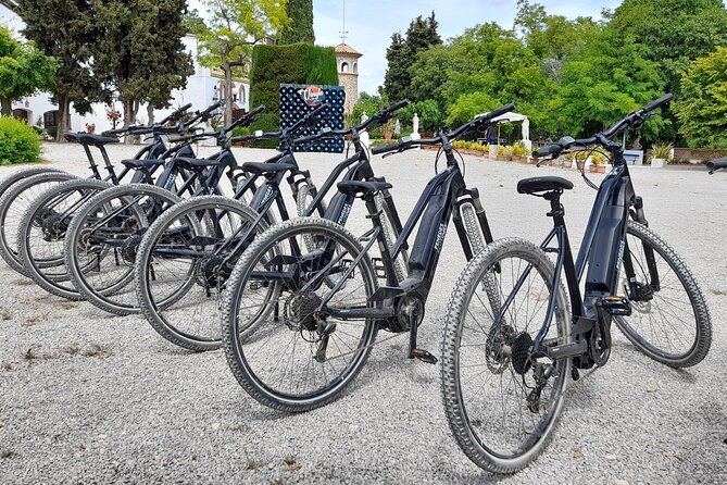 From Barcelona: E-Bike Tour in the vineyards with 2 Wineries - What guide Tomas adds to the day