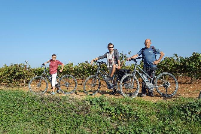 From Barcelona: E-Bike Tour in the vineyards with 2 Wineries - Who should book this outing?