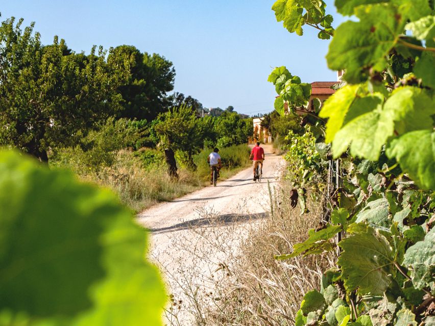 From Barcelona: Penedès E-Bike Tour with 2 Winery Visits - The 8:30 a.m. meeting at Barcelona Sants