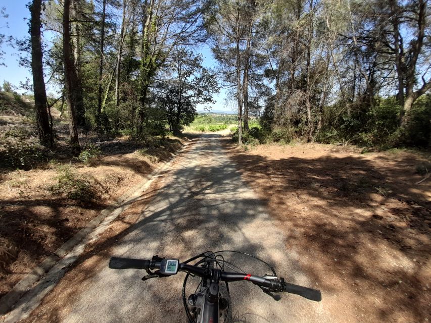 From Barcelona: Penedès E-Bike Tour with 2 Winery Visits - Riding among vineyards with Montserrat in view