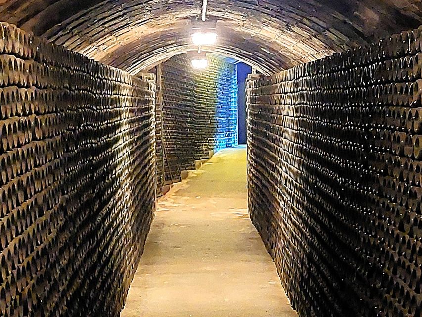 From Barcelona: Penedès E-Bike Tour with 2 Winery Visits - How the seven tastings shape the day