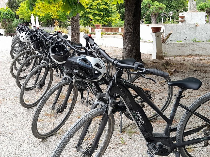 From Barcelona: Penedès E-Bike Tour with 2 Winery Visits - Is the $94 price good value?