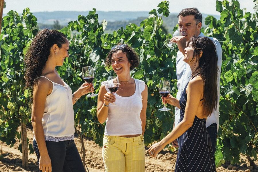 From Barcelona: Penedés Vineyards Tour by 4WD w/Wine & Cava - The 4WD ride through ancient vineyards