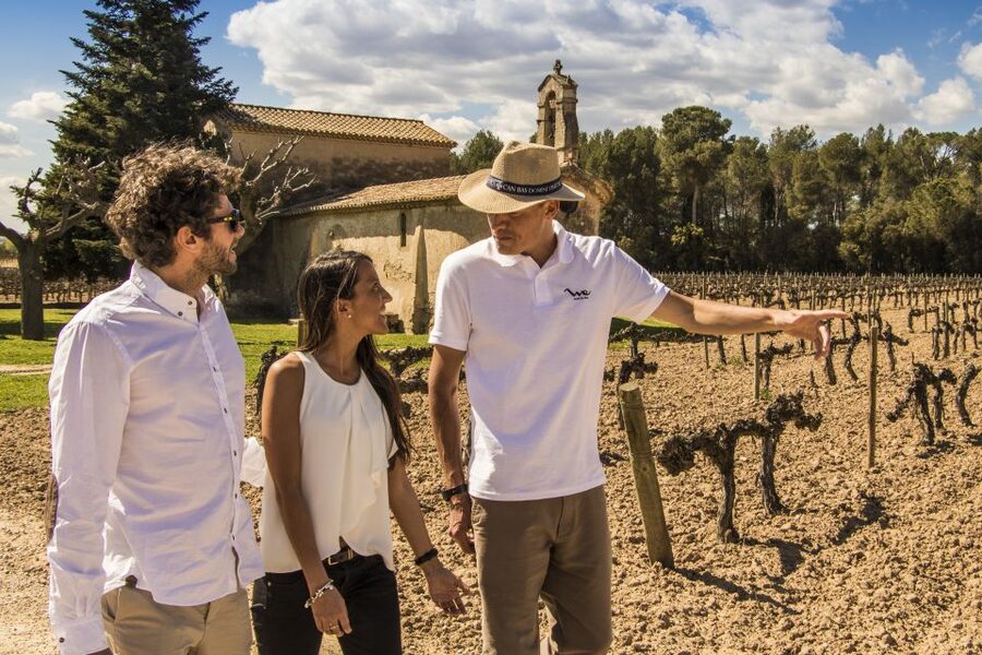 From Barcelona: Penedés Vineyards Tour by 4WD w/Wine & Cava - What the tastings are really like