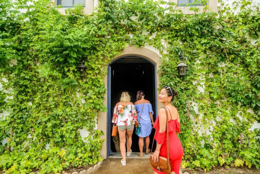 From Barcelona: Penedés Vineyards Tour by 4WD w/Wine & Cava - Who will enjoy this day most?
